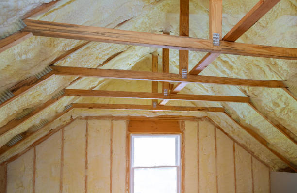 Best Insulation Maintenance and Repair in Lantana, TX