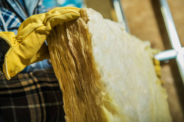 Best Insulation Maintenance and Repair in Lantana, TX
