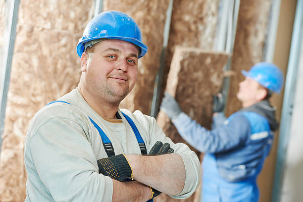 Best Insulation Installation Services in Lantana, TX